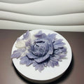 Purple Jade Flower Chill Vibes succulent - variation B