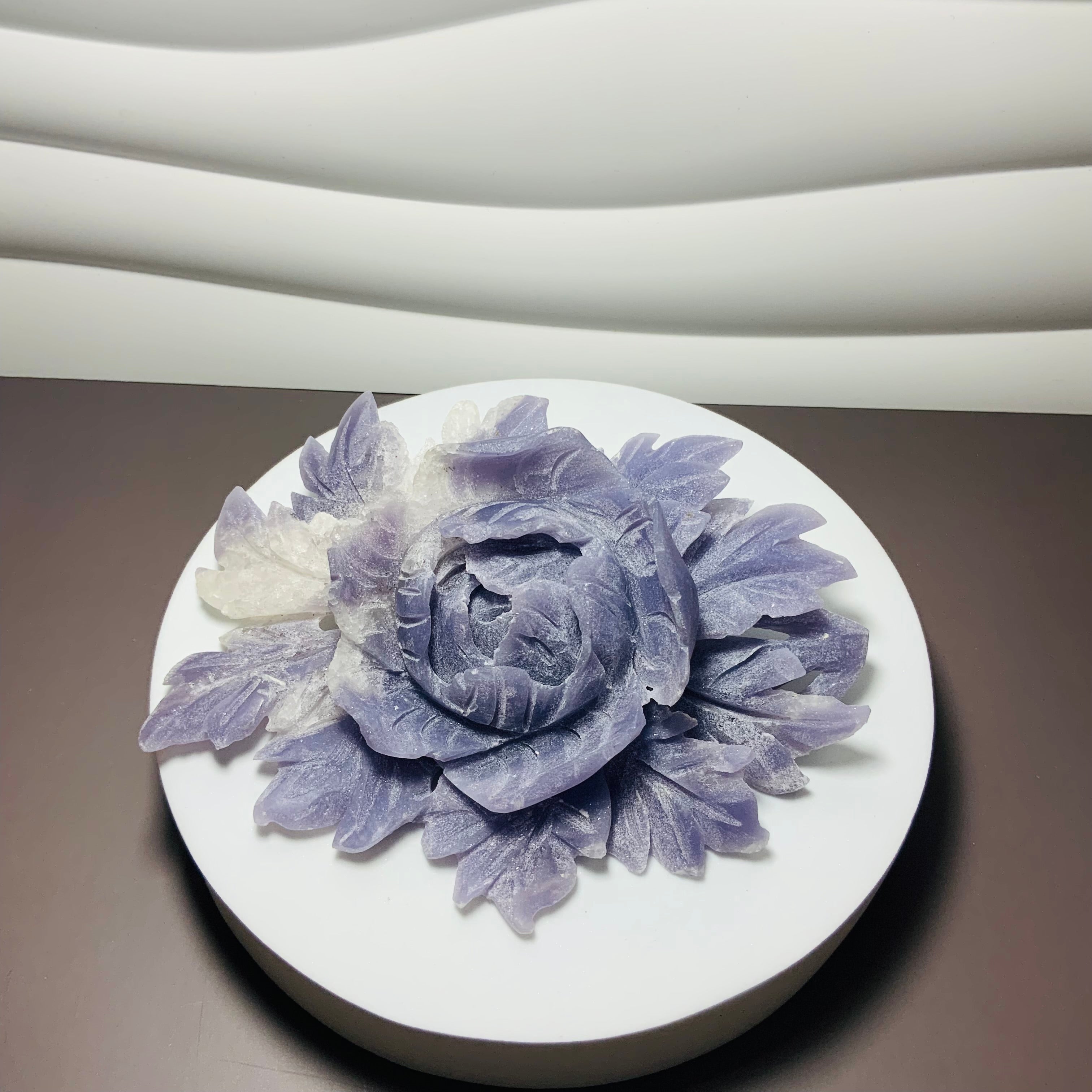 Purple Jade Flower Chill Vibes succulent - variation B