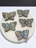 Labradorite butterfly carvings on white stone display