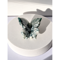 Moss Agate 3D Butterfly Carving - Mindful Whisper